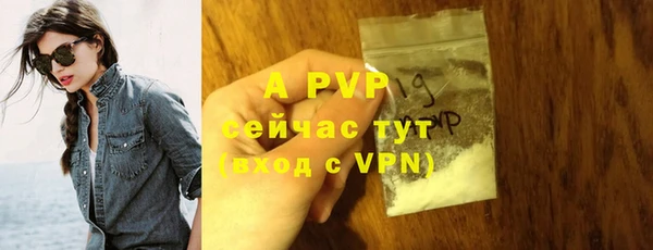 ешки Белокуриха