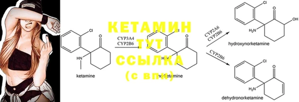 ешки Белокуриха
