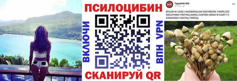 даркнет сайт  Николаевск-на-Амуре  Галлюциногенные грибы ЛСД 