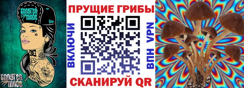 Псилоцибиновые грибы Psilocybine cubensis Николаевск-на-Амуре